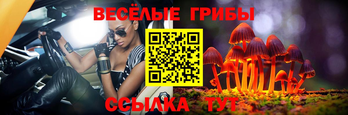 Псилоцибиновые грибы мицелий Гурьевск