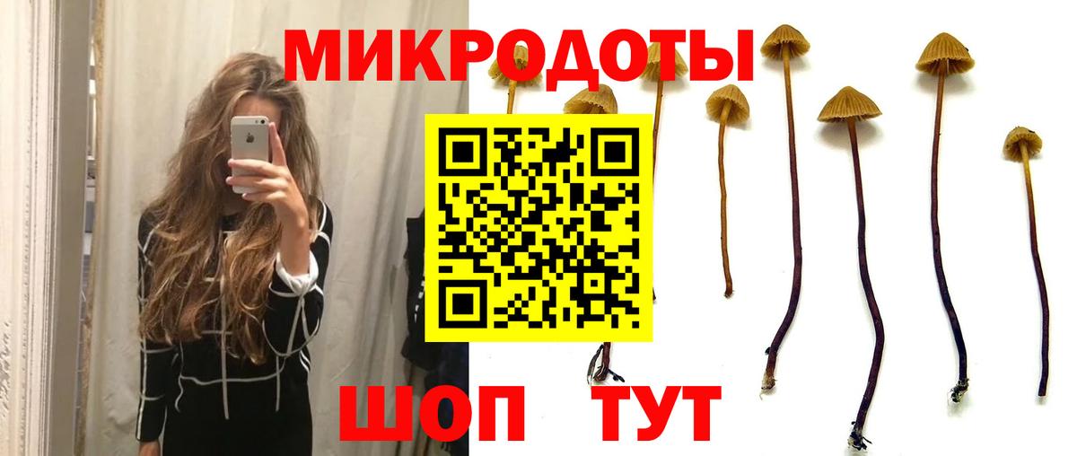 Гурьевск  наркошоп  Вход с VPN  Псилоцибиновые грибы ЛСД 